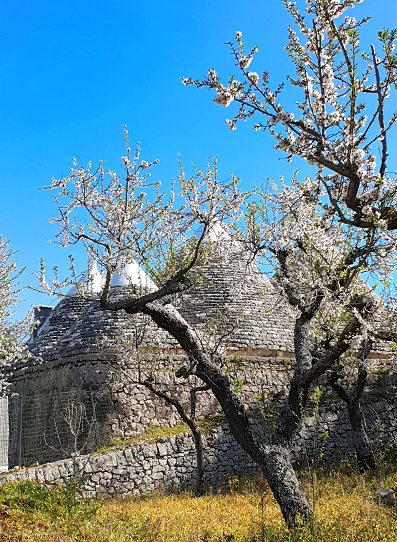 trulli