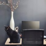 Mijn woman cave, uiteraard volledig in de HUIZEDOP woonstijl thuiswerkplek woman cave