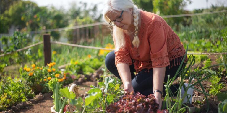 moestuin tips
