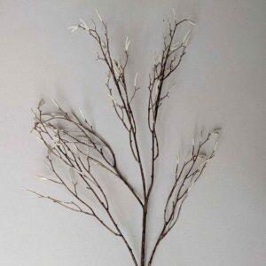 plume kunsttak
