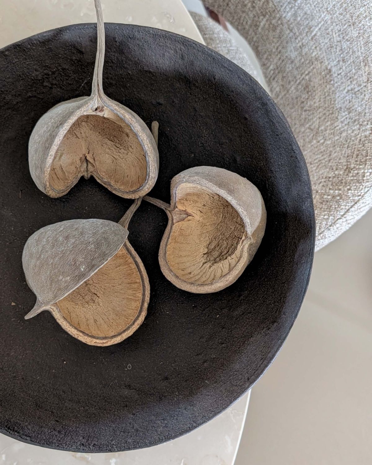 decoratie noten zaaddozen