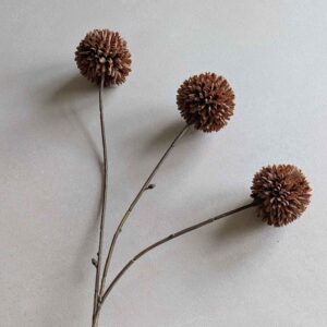pompom tak donkerbruin