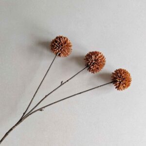 pompom tak bruin