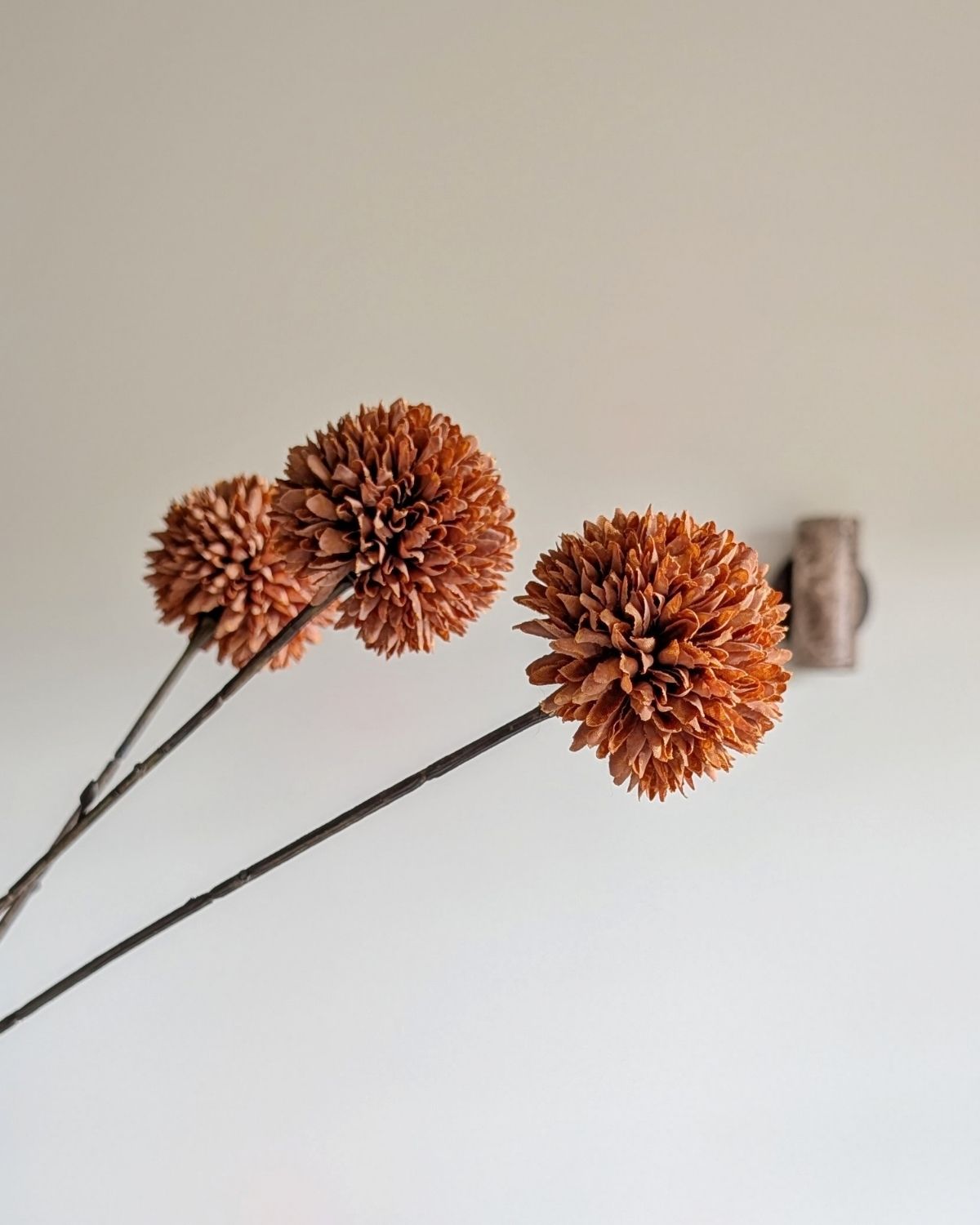 pompom tak