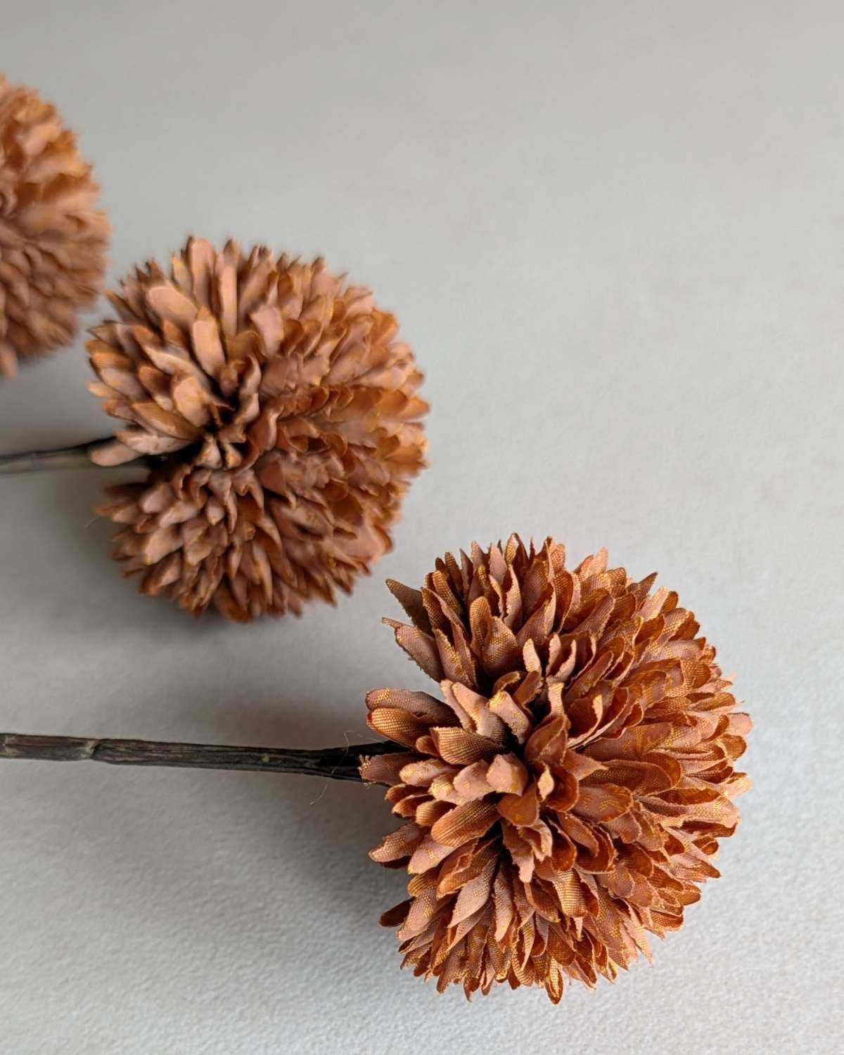 pompom tak