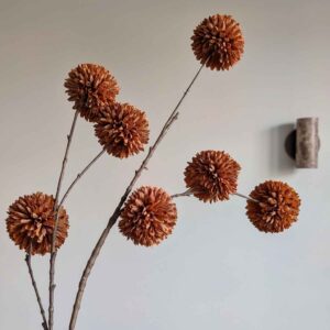 pompom tak bruin