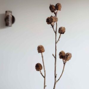 kunsttak distel