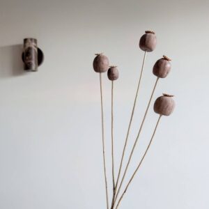 papaver kunsttak