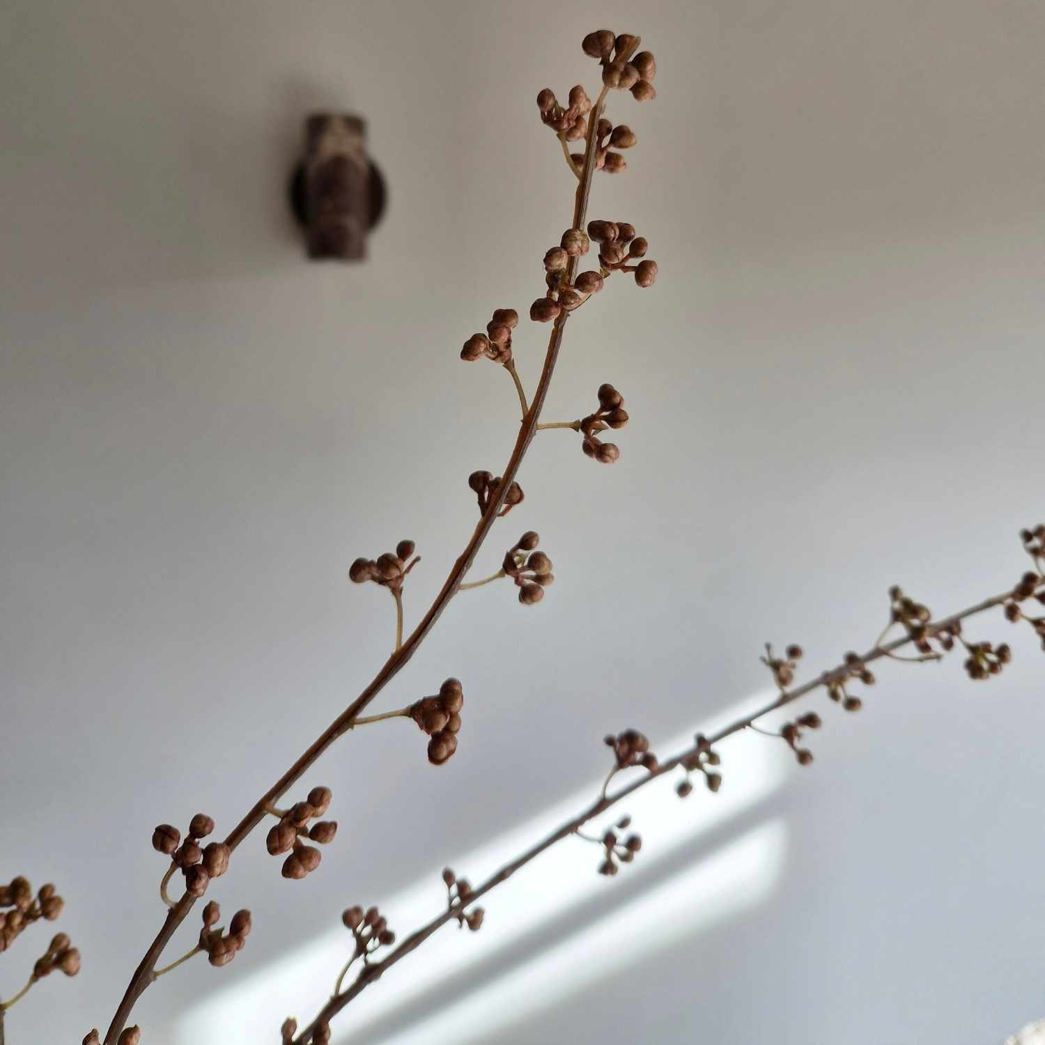 kunsttakken webshop woonaccessoires